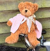 Bear left sitting on a bike.