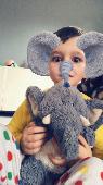 My boy has lost his stuffed elephant on his way home from holiday. The naughty t