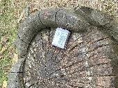 Found a purple Samsung flip phone at Regent's Park at the wooden carving of a gi