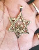 I lost a gold star of david pendant, with a lion in the middle at carnival on M