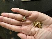 We found a gold necklace with two distinctive features at Primose Hill. We would