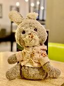 LOST BUNNY Cuddly Bunny Grey Wears a Pink (discoloured) Jacket