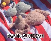 REWARD: $1000 Missing Piggy, Jellycat Bunglie Pig. Was stolen when someone stole