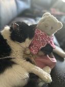 Someone took my tote bag that had my stuffed cat in it that had clothes on and h
