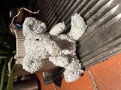 Small grey elephant about 15cms high